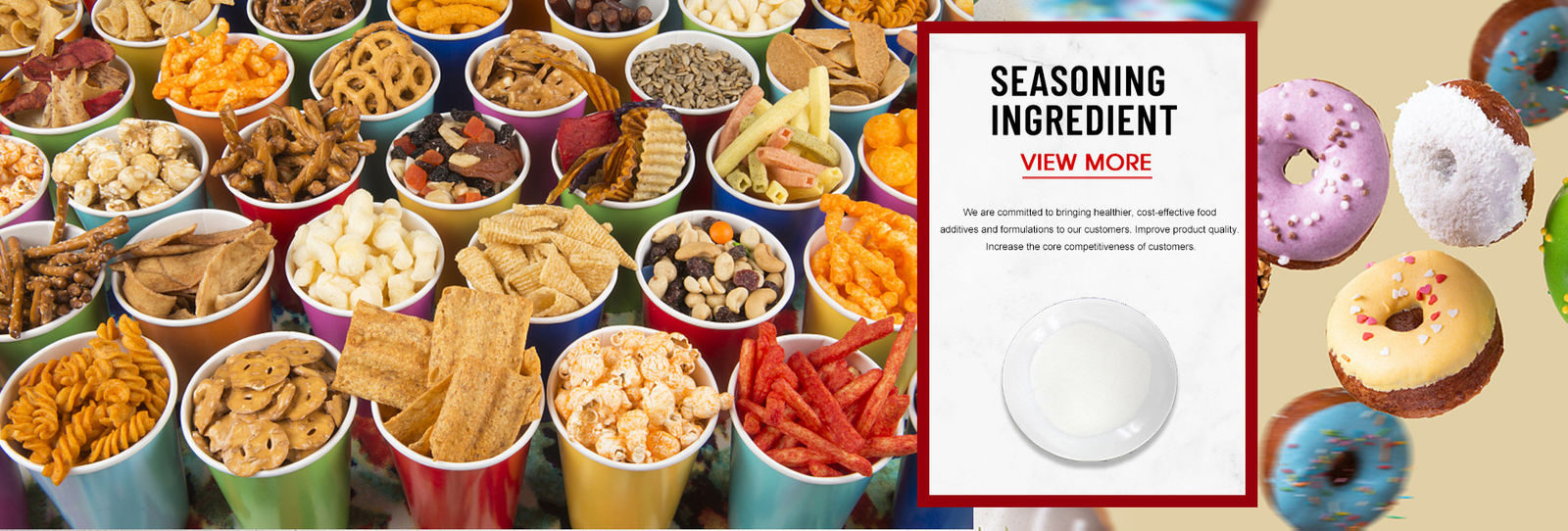 Polvere di condimenti